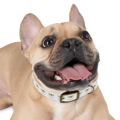 US Virgin Islands Dog Collar (Copy)
