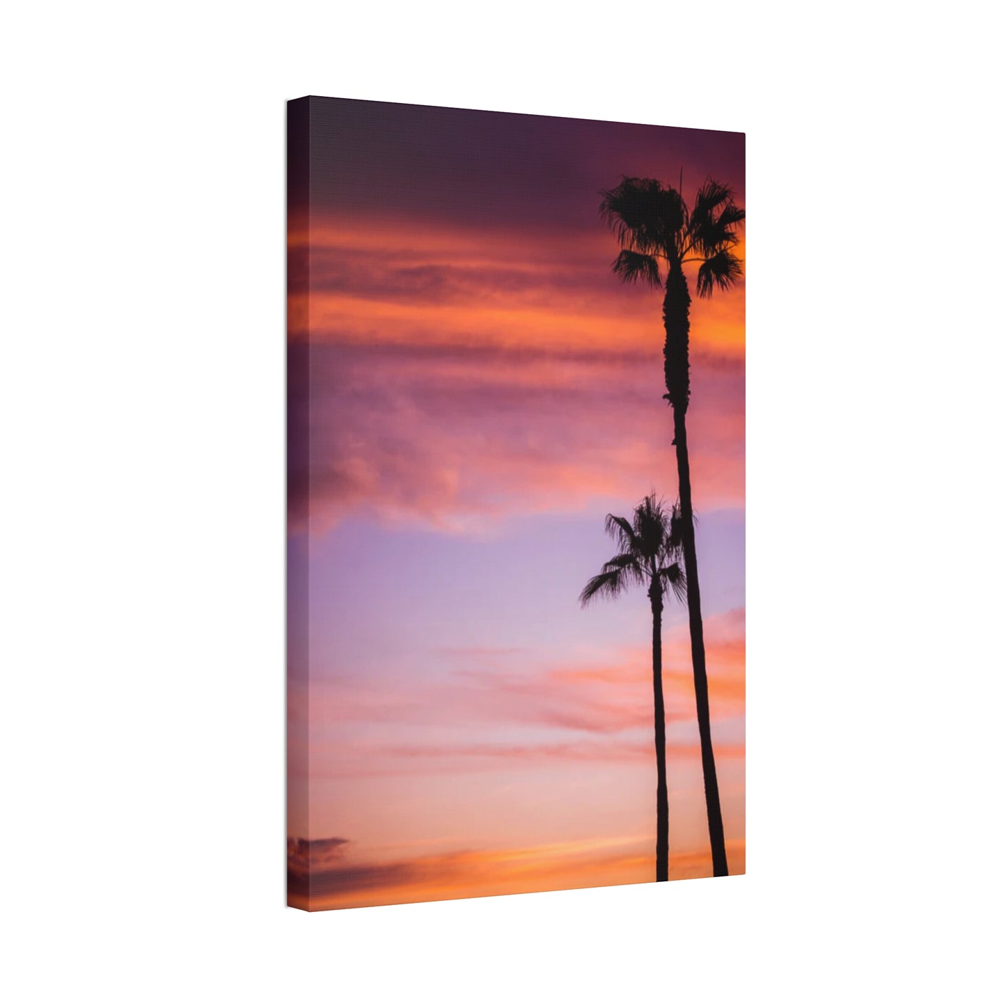 Dusk Silhouettes: Sunset Splendor