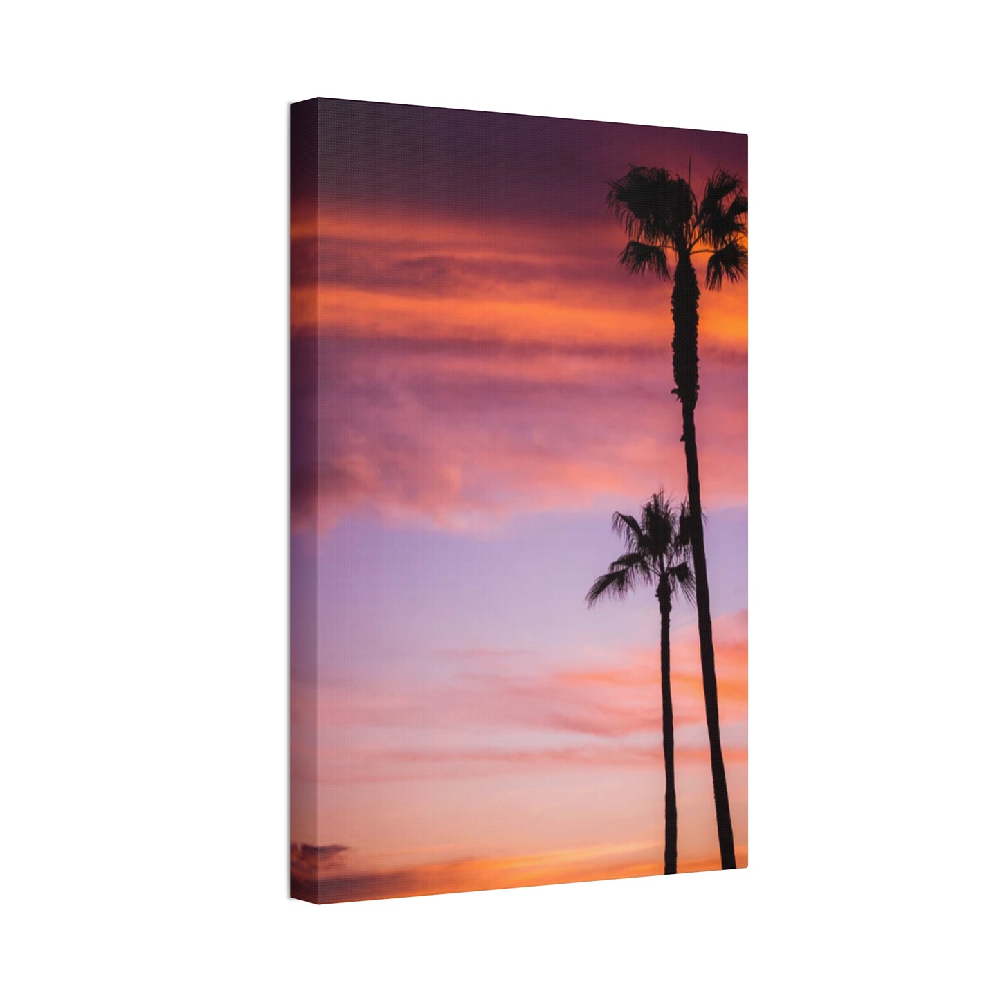 Dusk Silhouettes: Sunset Splendor