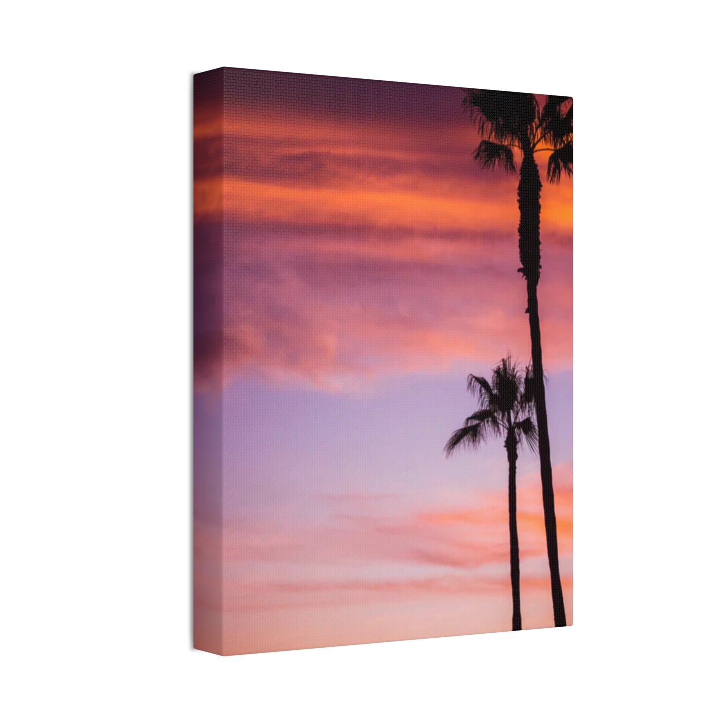 Dusk Silhouettes: Sunset Splendor