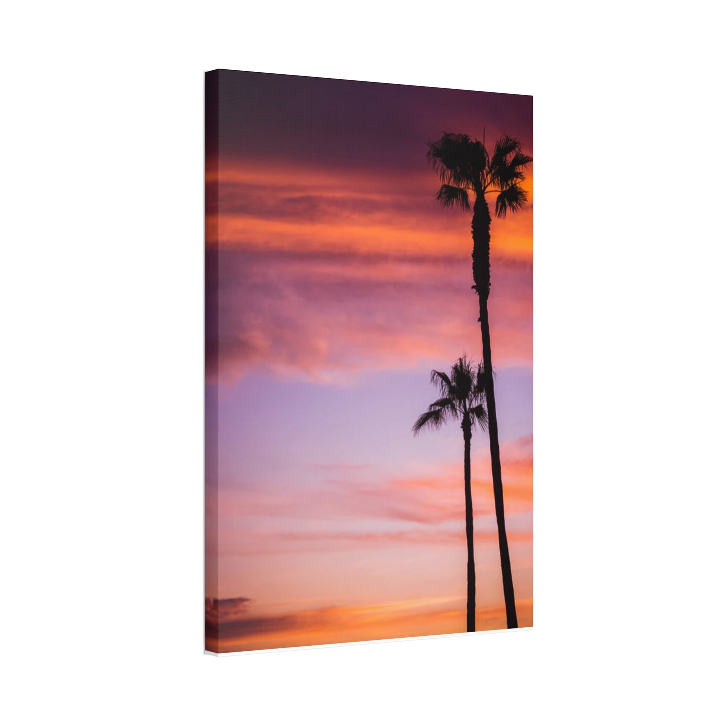 Dusk Silhouettes: Sunset Splendor