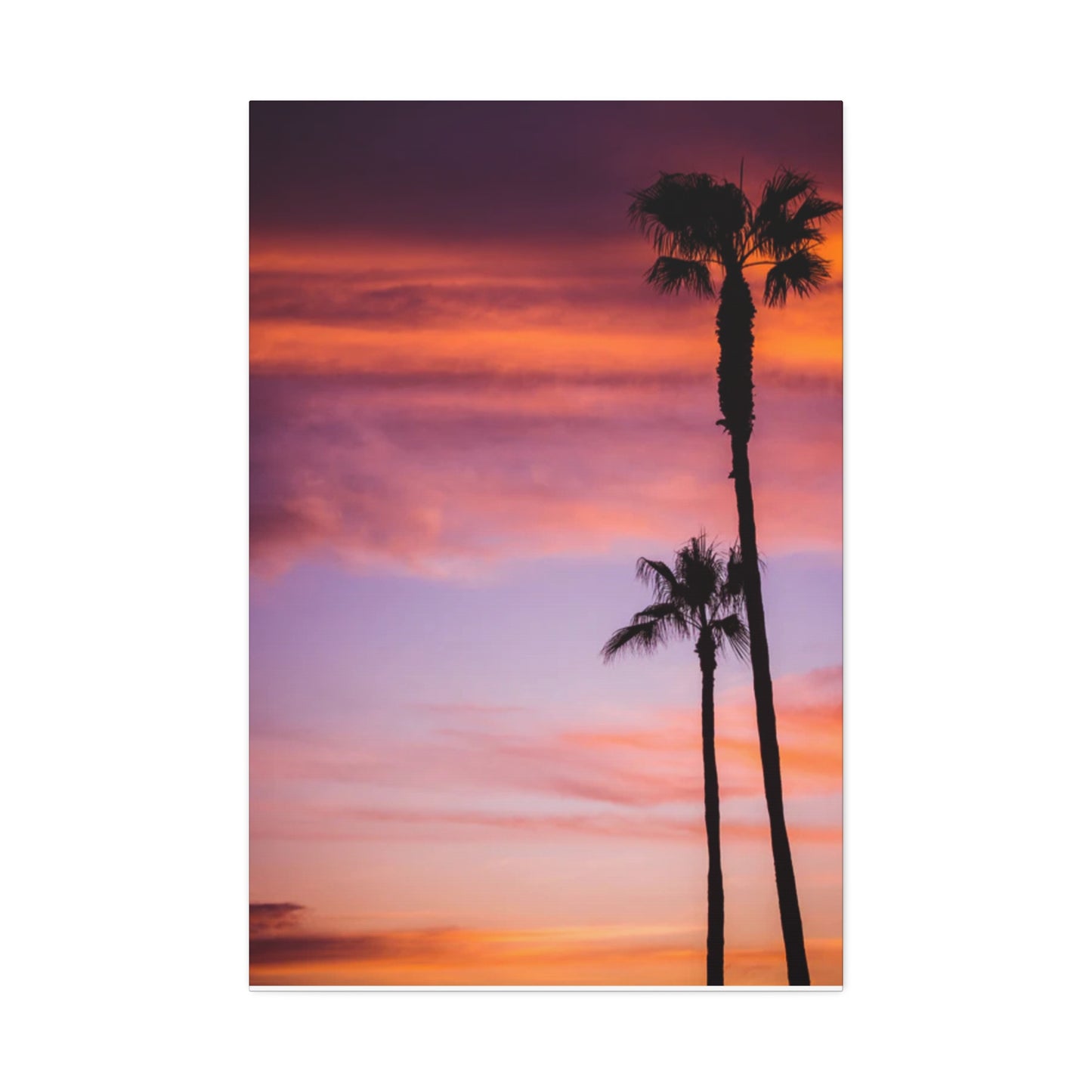 Dusk Silhouettes: Sunset Splendor