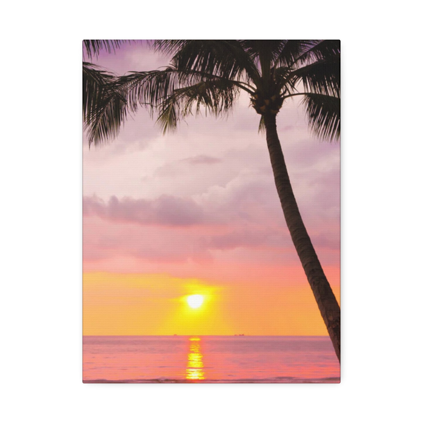 Tropical Oasis: Palm Tree Paradise