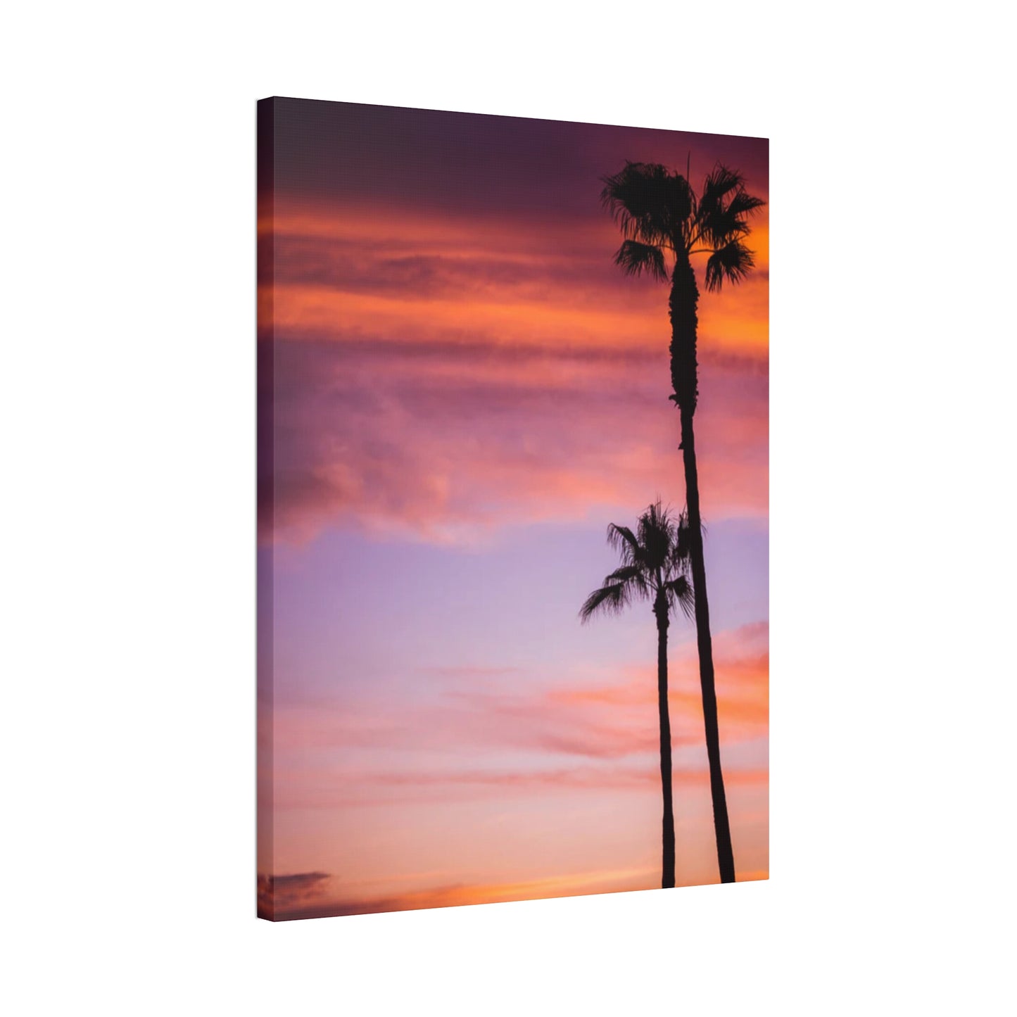 Dusk Silhouettes: Sunset Splendor