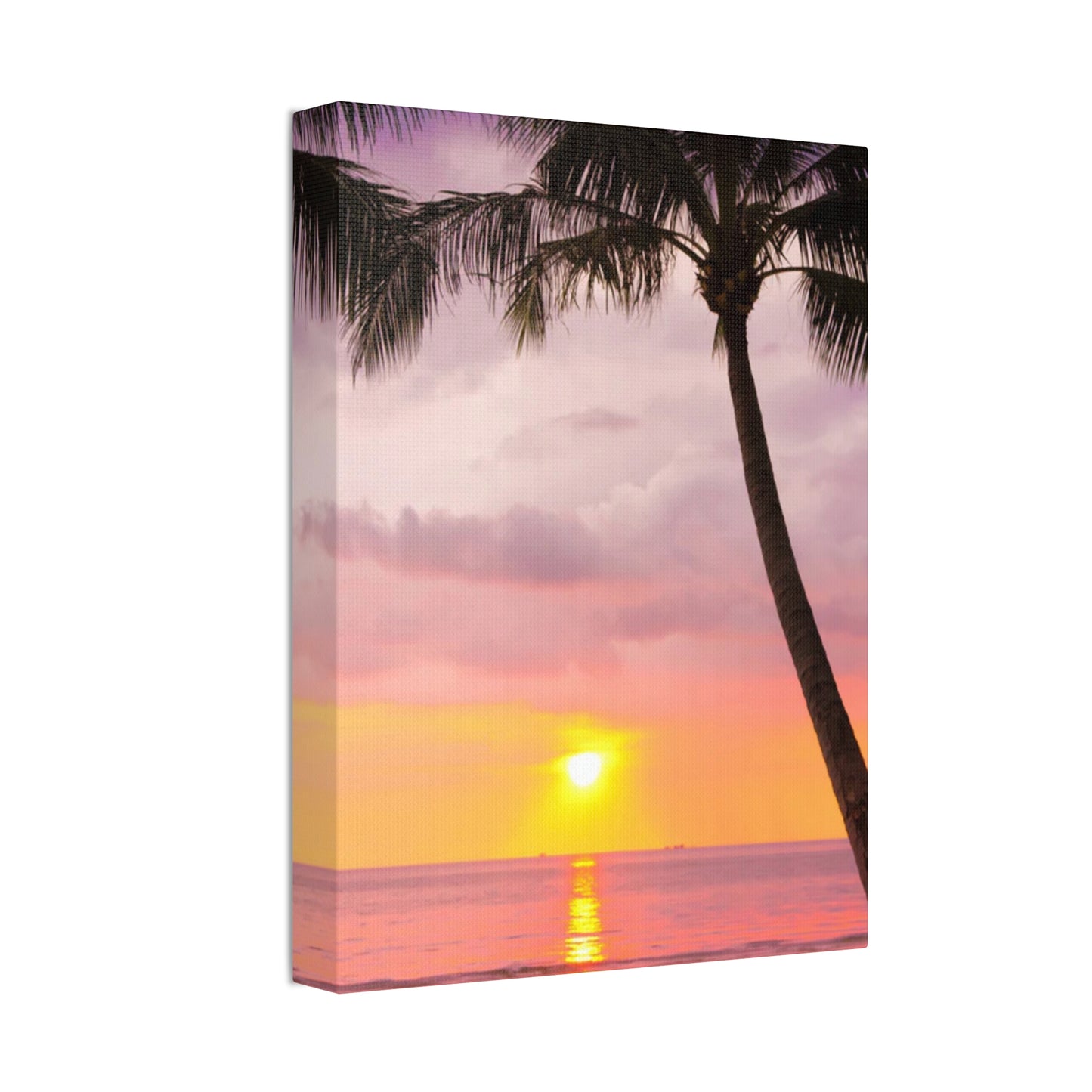 Tropical Oasis: Palm Tree Paradise