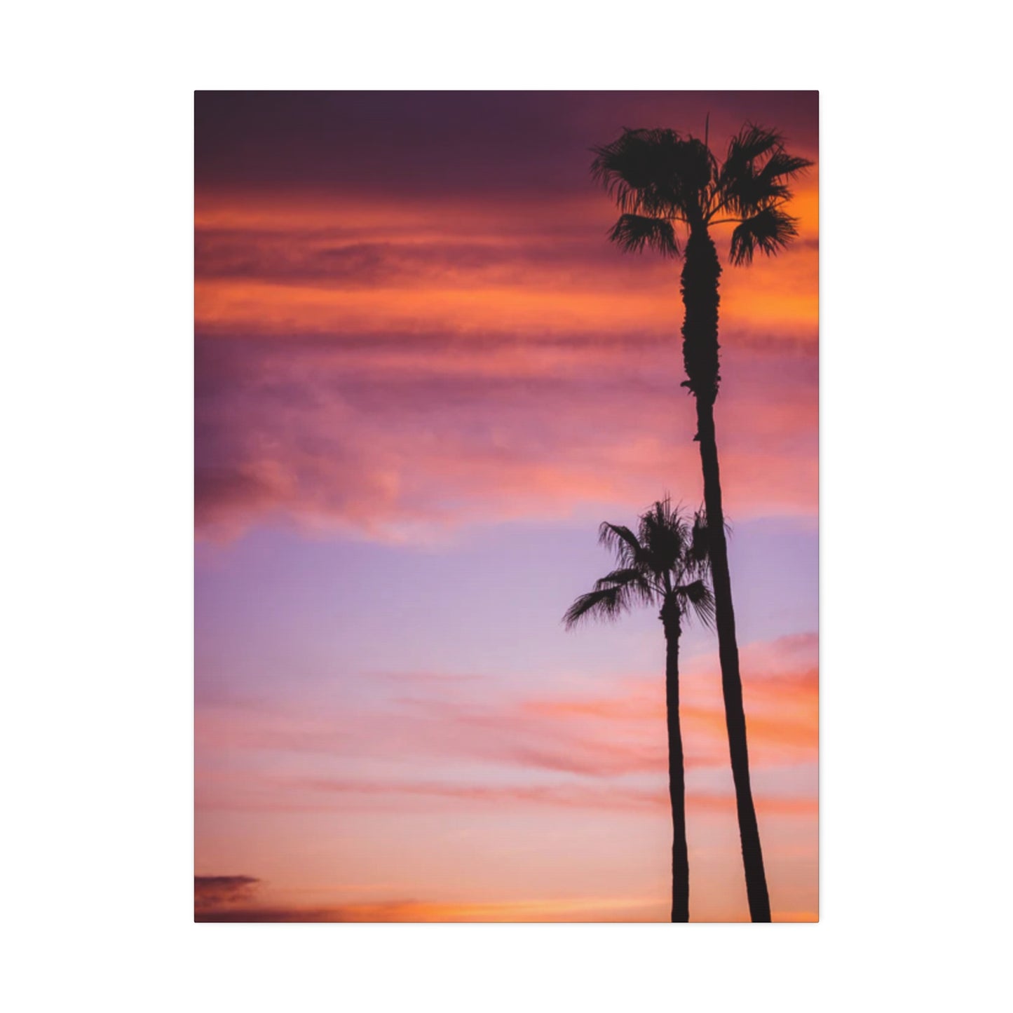 Dusk Silhouettes: Sunset Splendor