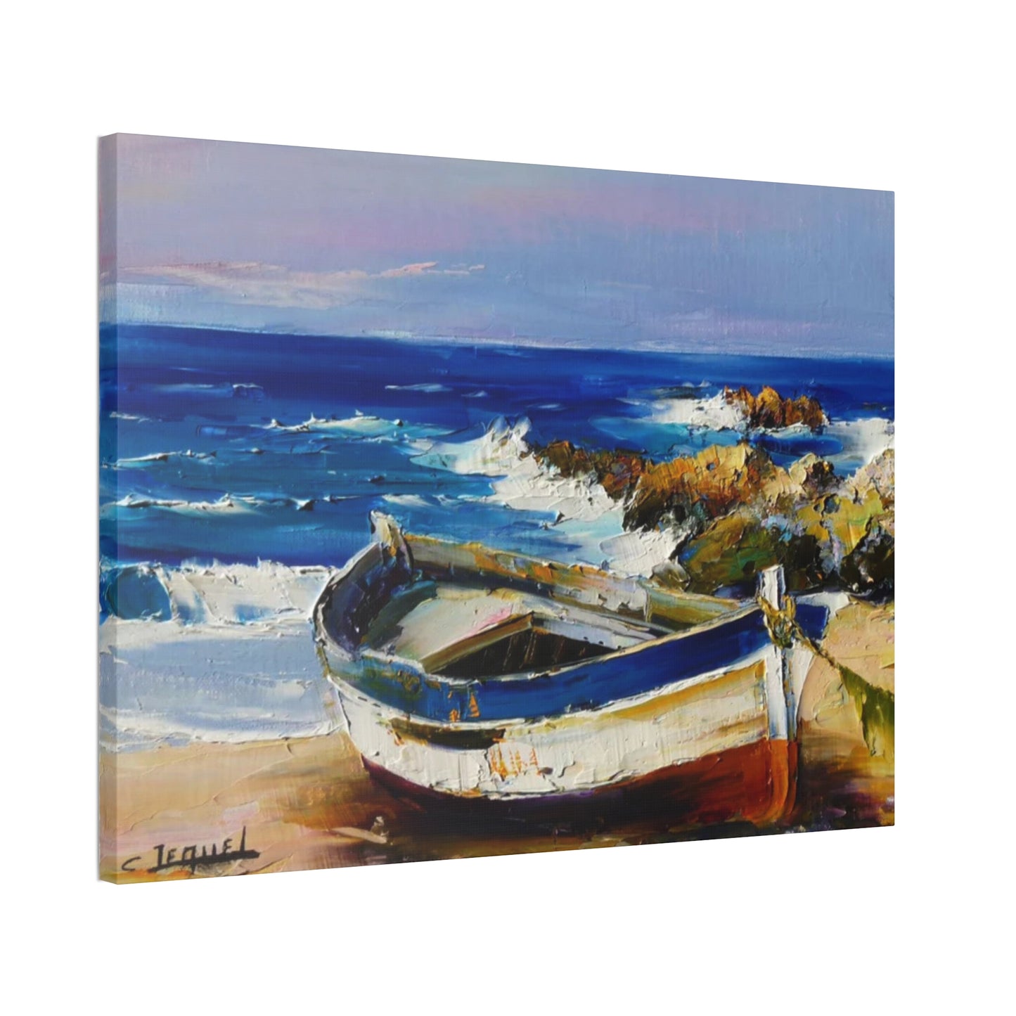 Stranded Beauty: Beached Among the Rocks
