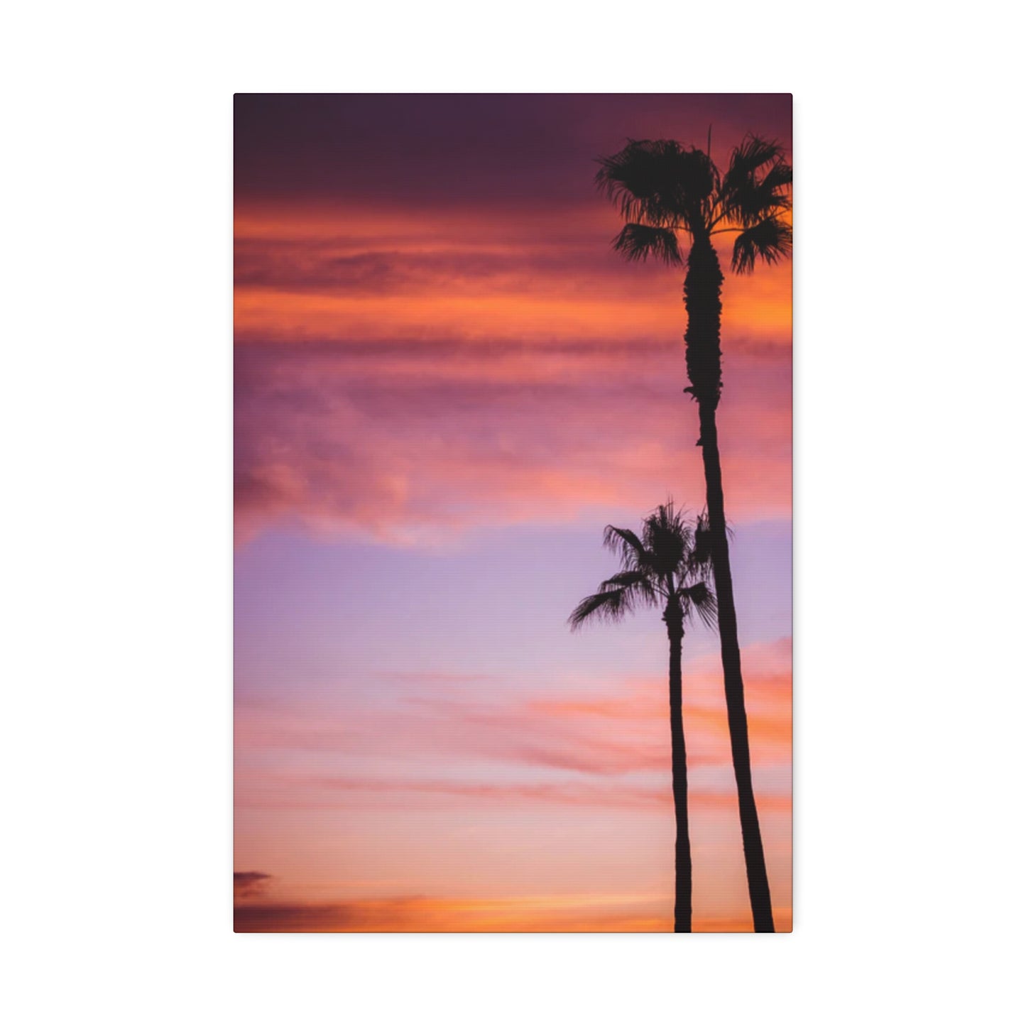 Dusk Silhouettes: Sunset Splendor