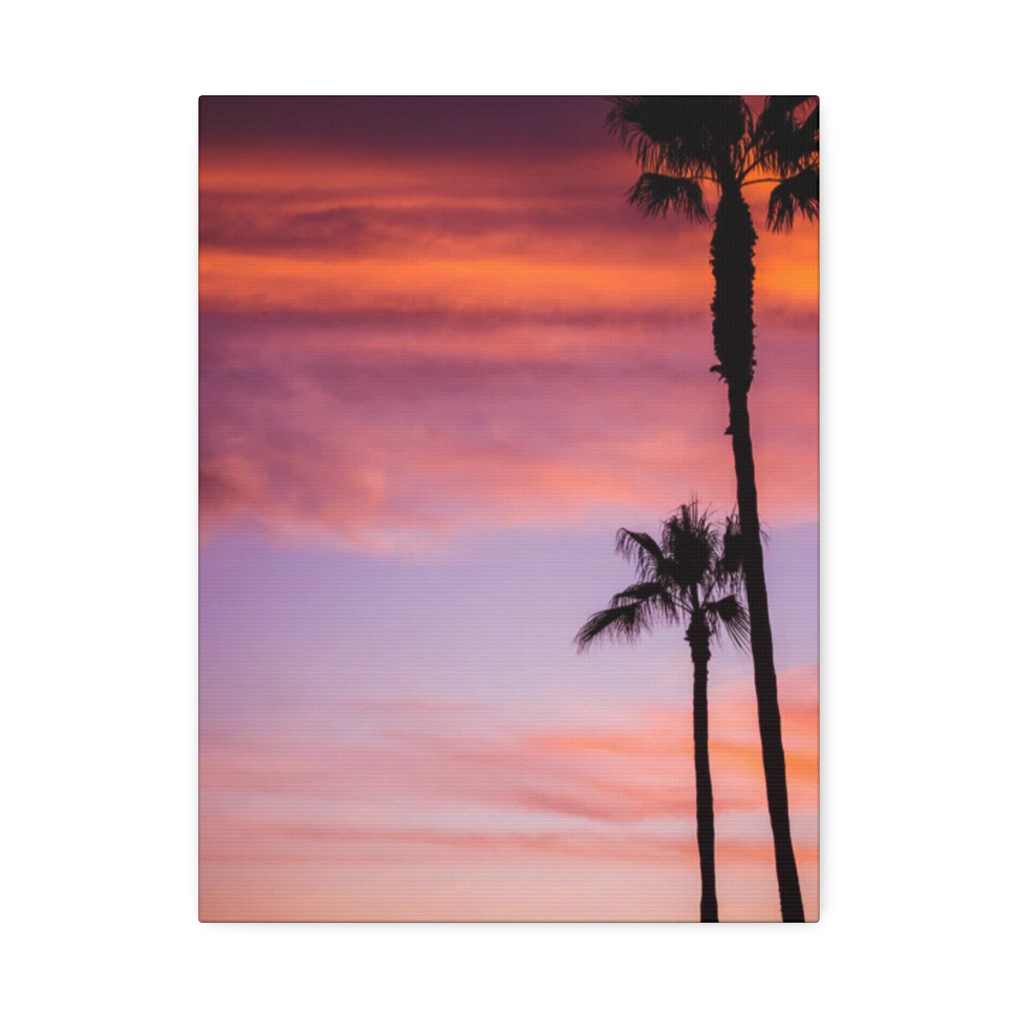 Dusk Silhouettes: Sunset Splendor
