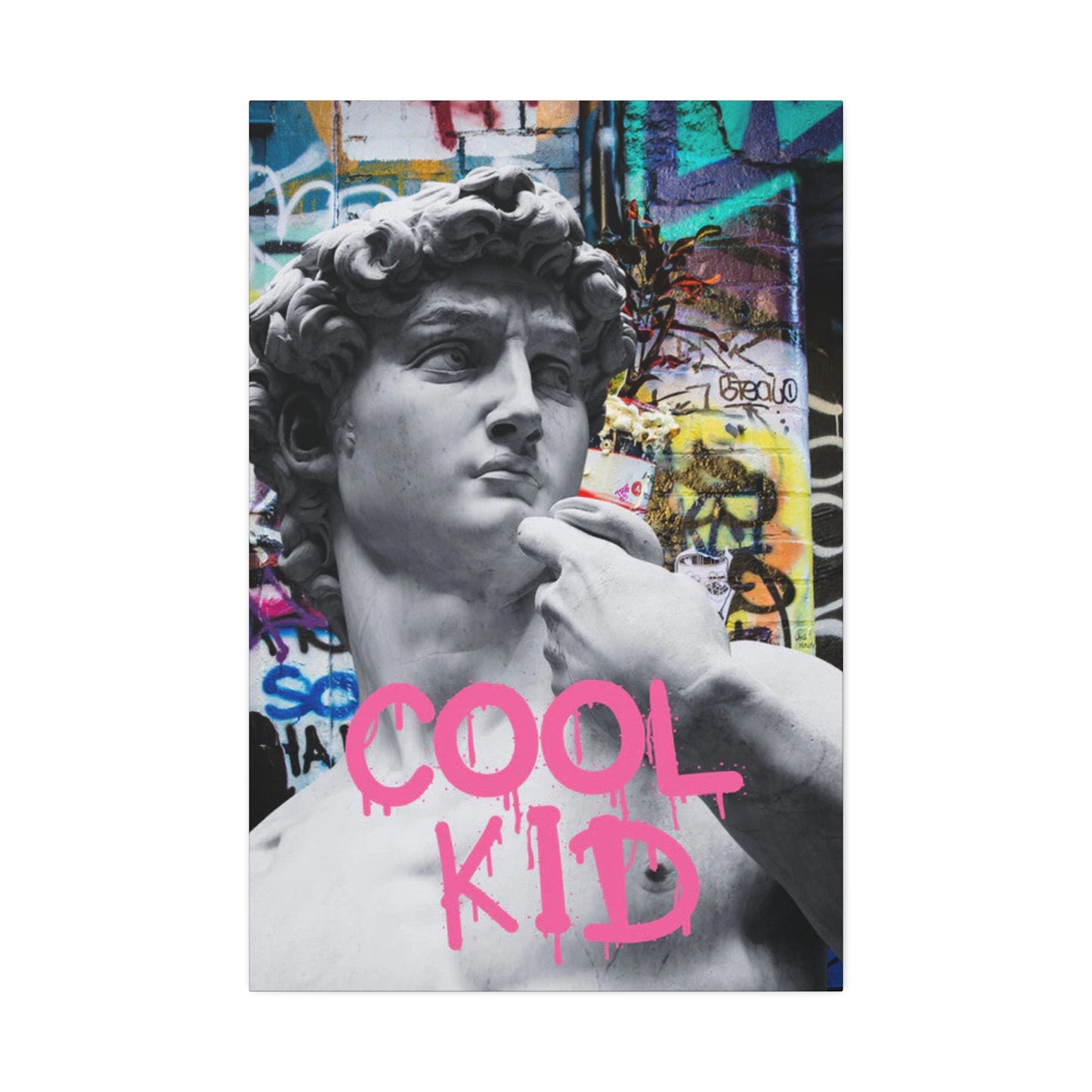 Viral Vibes: The Popularity Contest