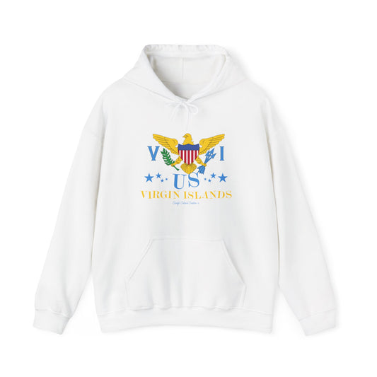 US Virgin Islands Unisex Heavy Blend™ Hooded Sweatshirt (Copy)