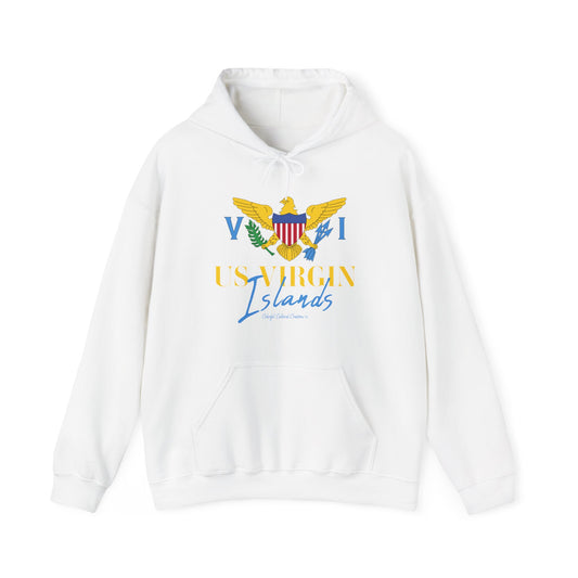 US Virgin Islands Unisex Heavy Blend™ Hooded Sweatshirt (Copy)